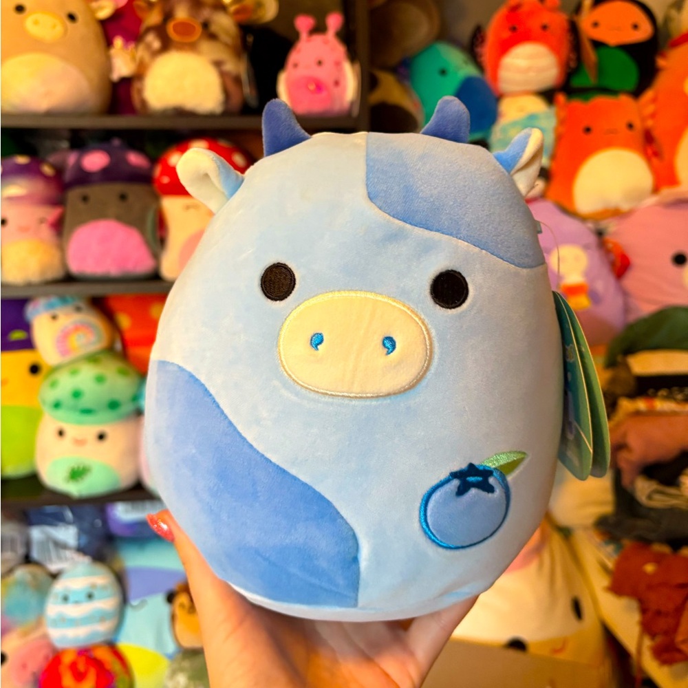 Rutanya the blueberry cow squishmallow NWT 8in